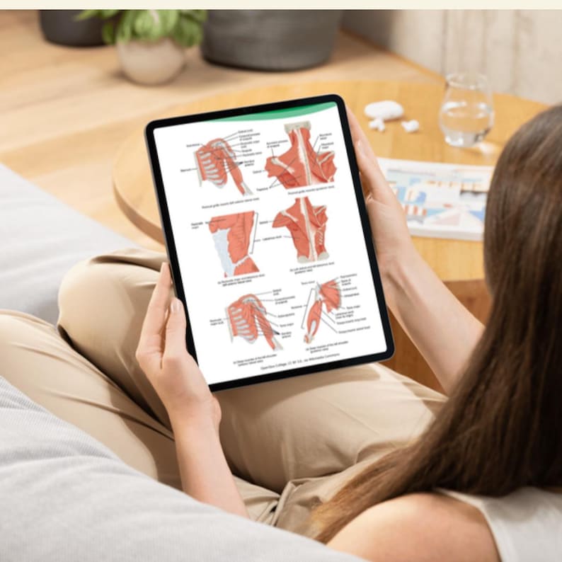 Musculoskeletal System Nursing Notes | Anatomy, Physiology and Pathology Study Guide | Bone & Joint Review | NCLEX PDF - Image 3