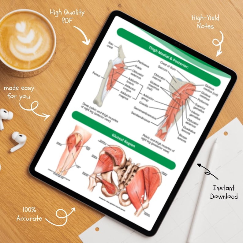 Musculoskeletal System Nursing Notes | Anatomy, Physiology and Pathology Study Guide | Bone & Joint Review | NCLEX PDF - Image 2
