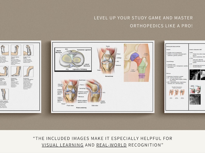 Orthopedics Master Note Study Guide, Physician Assistant, Nurse Practitioner, Medical Student, PANCE, PANRE - Image 4